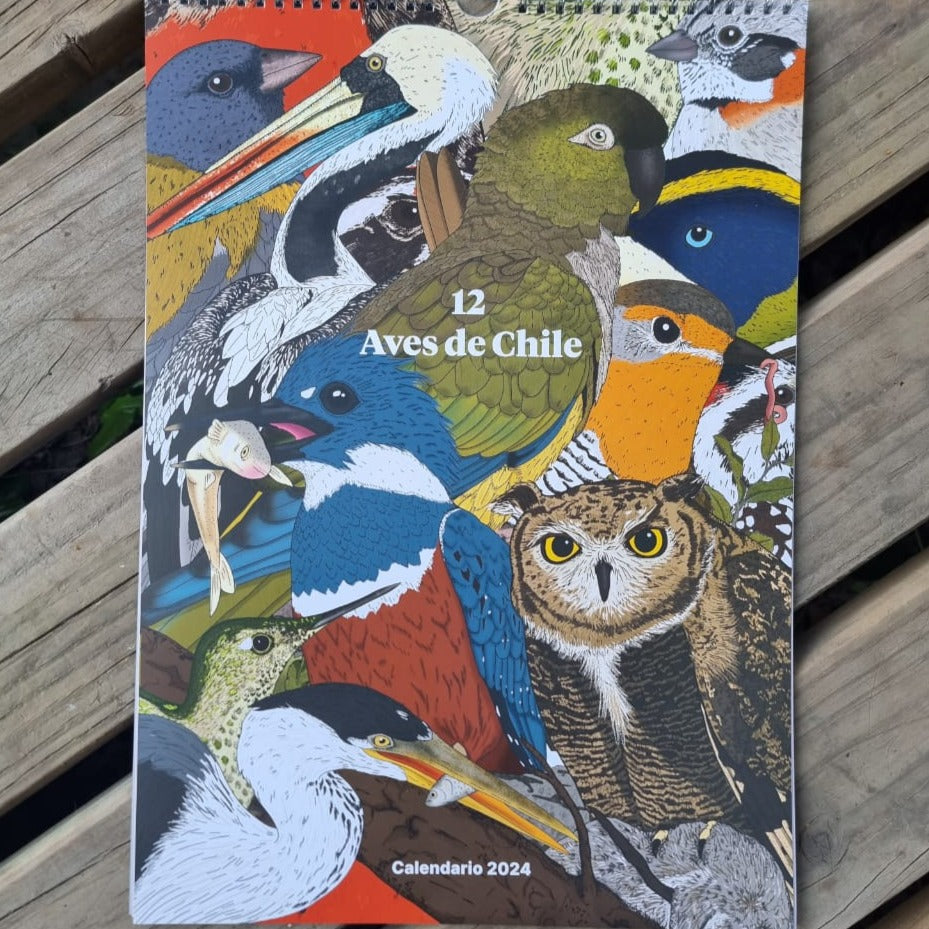 Calendario Aves de Chile Salvaje
