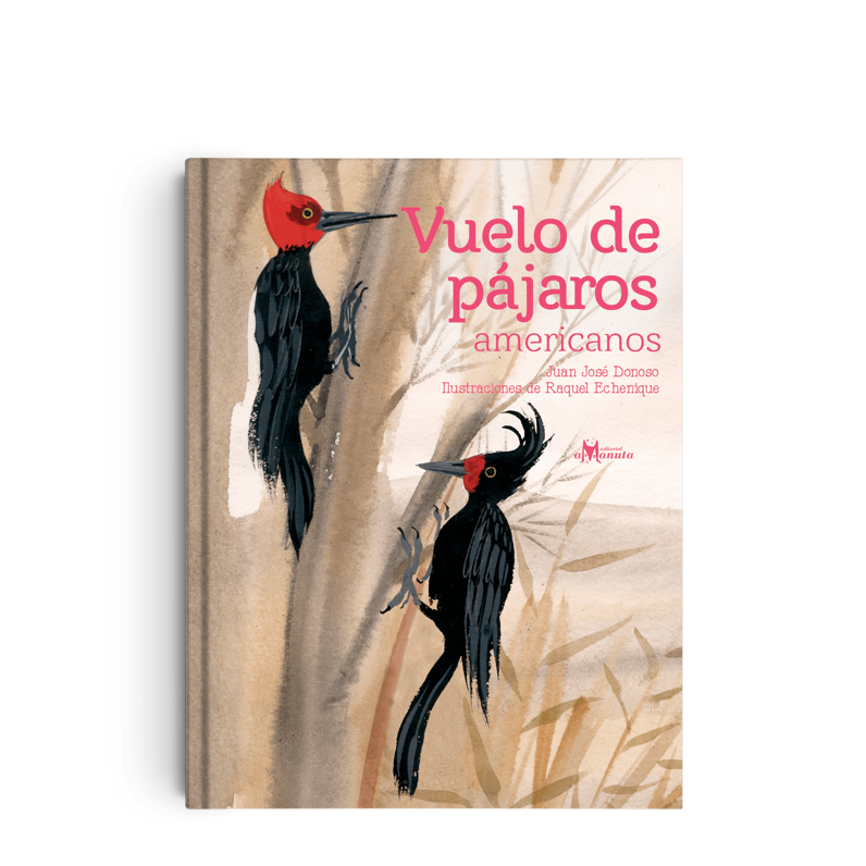 Vuelo de Pájaros Americanos