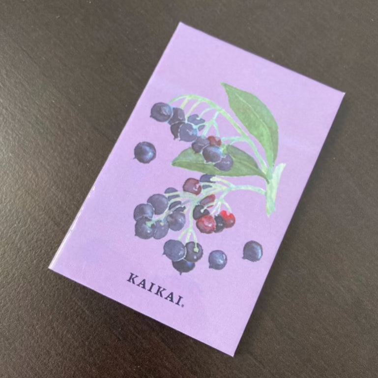 iman magneto frutas nativas chirimoya frutilla maqui