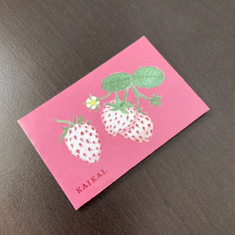 Imanes Frutas Nativas