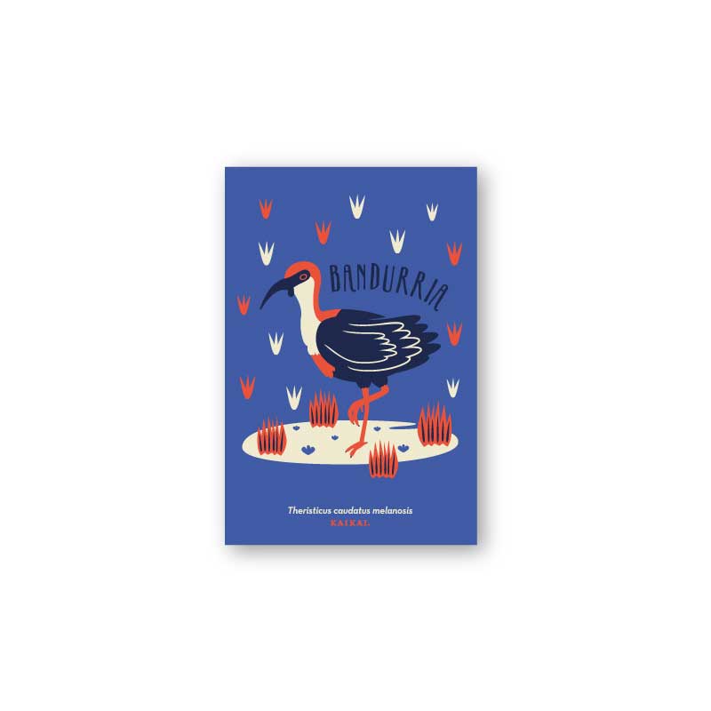 postal aves fauna pájaros naturaleza ludico ave print infantil