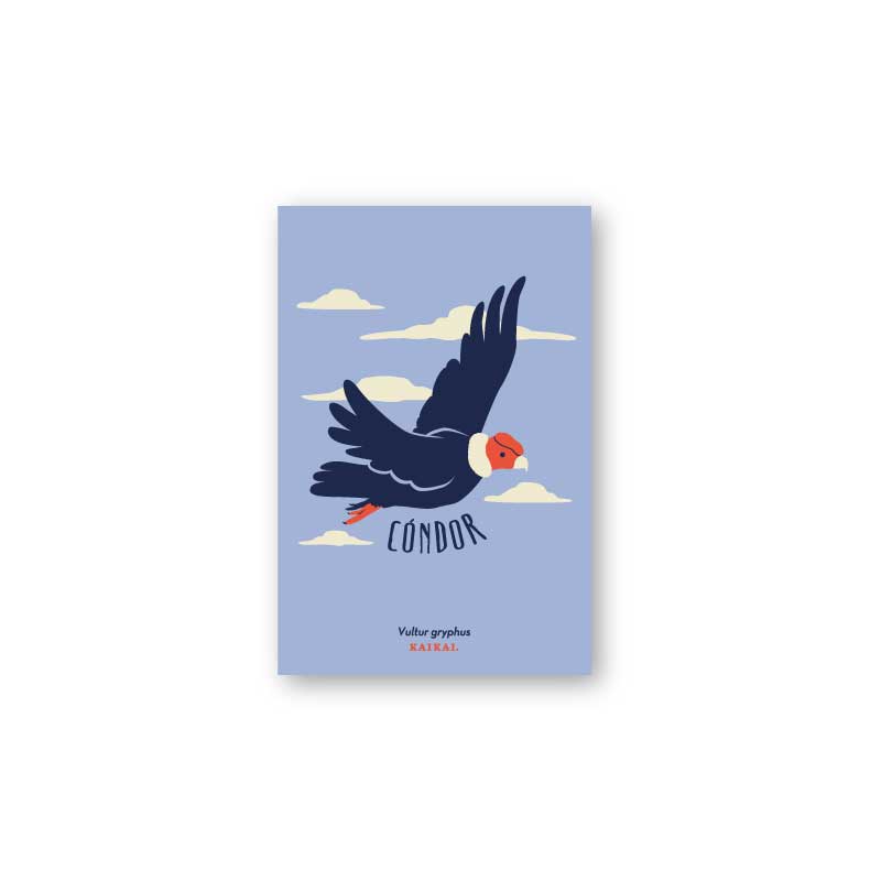 postal aves fauna pájaros naturaleza ludico ave print infantil