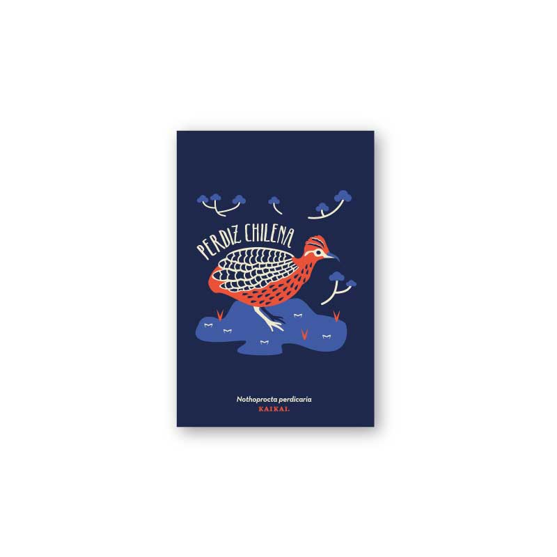 postal aves fauna pájaros naturaleza ludico ave print infantil