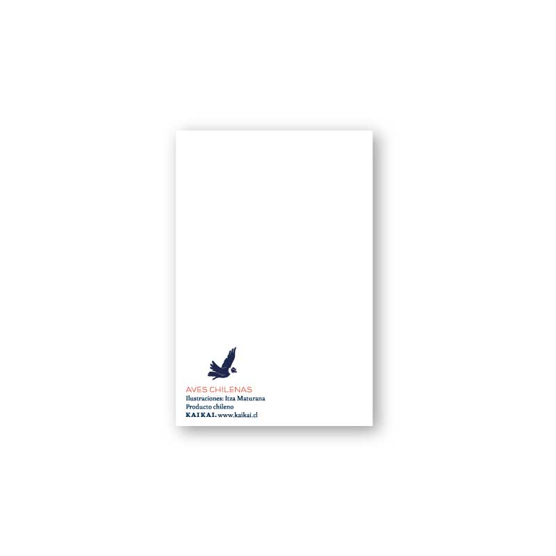 postal aves fauna pájaros naturaleza ludico ave print infantil