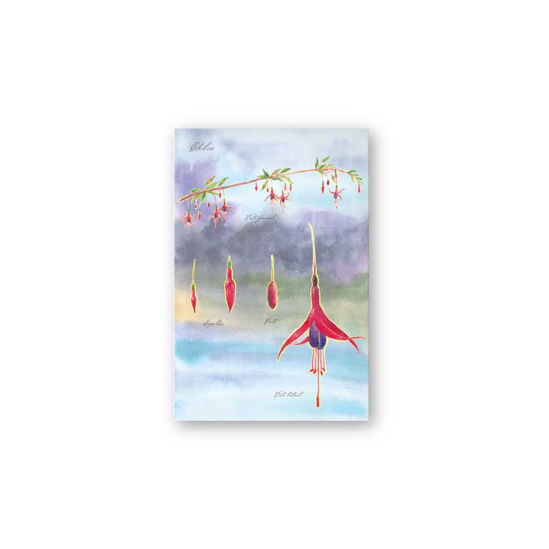 postal print flores chilenas flora nativa flor cactus naturaleza acuarela