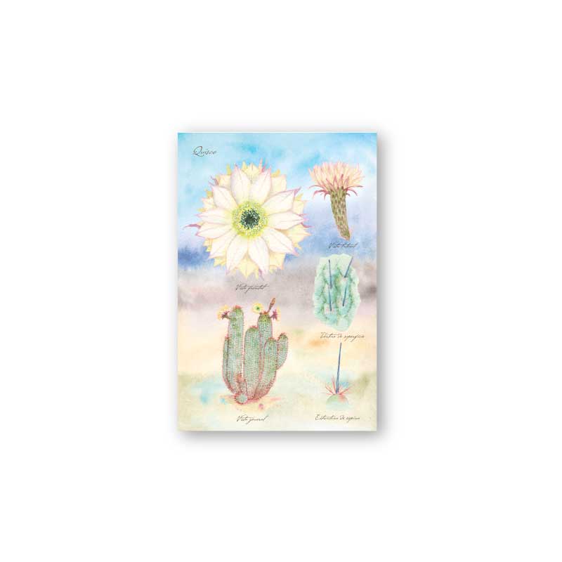 postal print flores chilenas flora nativa flor cactus naturaleza acuarela