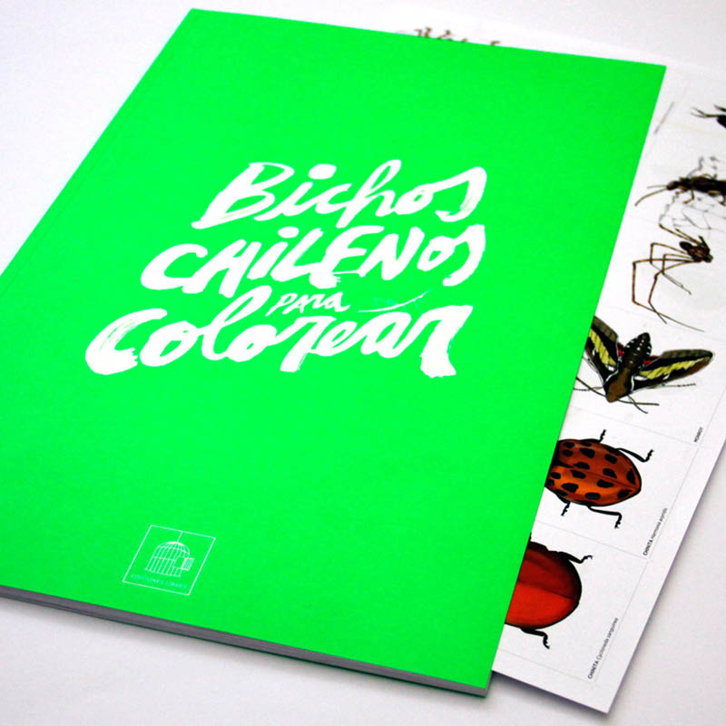 Bichos chilenos para colorear
