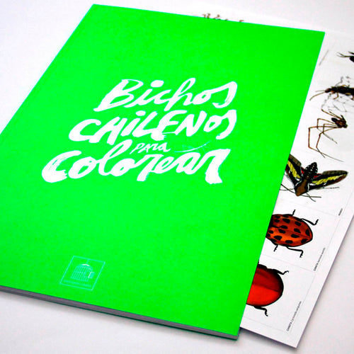 Libro Bichos Chilenos para Colorear. Ediciones libres
