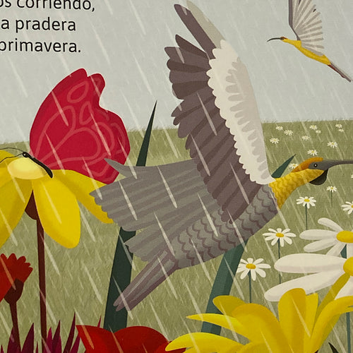 libro canción infantil que llueva flora y fauna chilenas niños ilustracion bebe