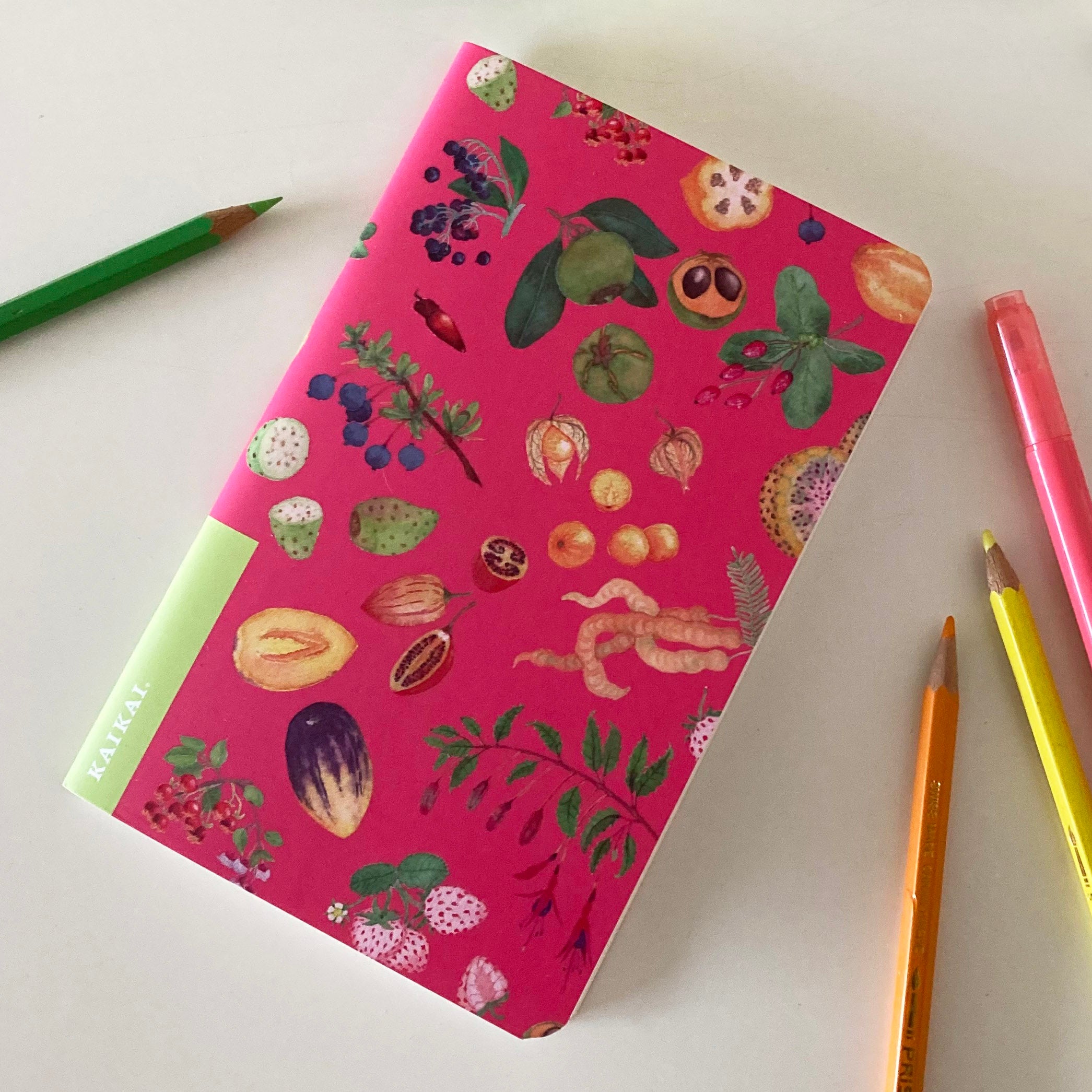 libreta cuaderno croquis frutas chilenas nativas chile frutos lucuma chirimoya papaya frutilla pepino tuna calafate maqui