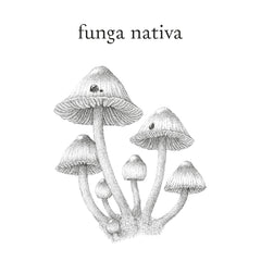 Collection image for: Funga Nativa