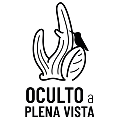 Collection image for: Oculto a plena vista