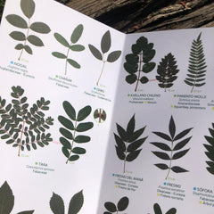 Collection image for: Mapas, guías y naturaleza