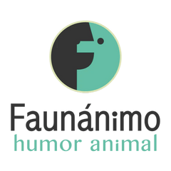 Collection image for: Editorial Faunánimo