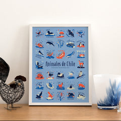 Collection image for: Todo Chile