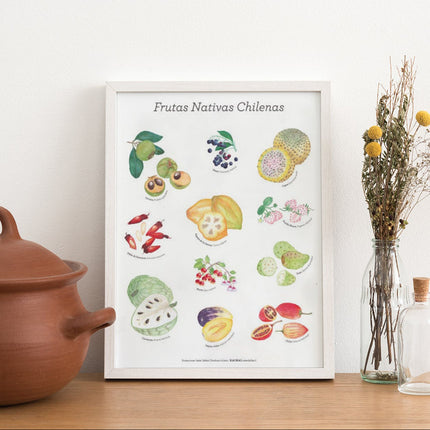 Afiche Frutas Nativas Chilenas