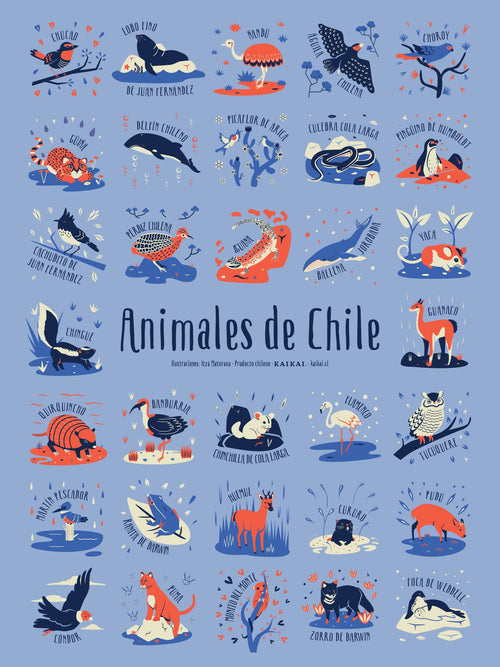 Afiche Animales de Chile