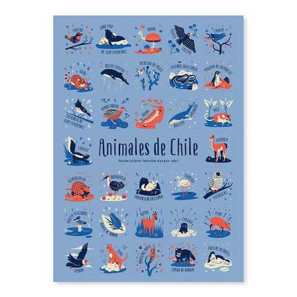 Afiche Animales de Chile