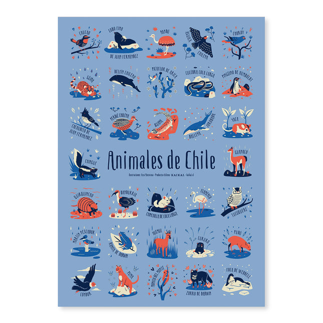 Afiche Animales de Chile
