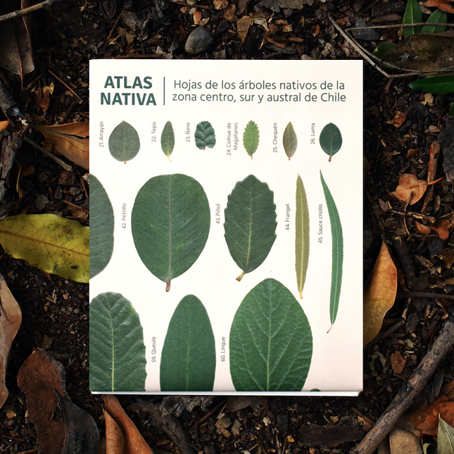 Guía de Hojas Atlas Nativa