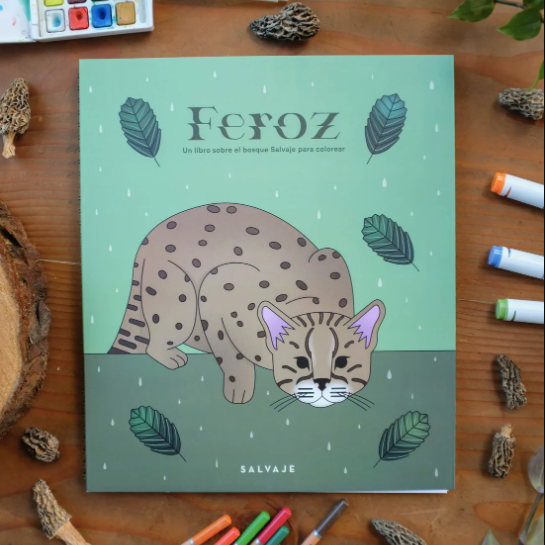 Feroz libro para colorear flora y fauna del bosque chileno nativo