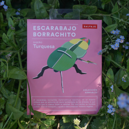 Armable Escarabajo Borrachito papercraft de cartón de insectos nativos