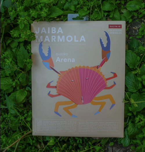Armable Jaiba Mármola papercraft de cartón fauna nativa chilena animales cangrejo