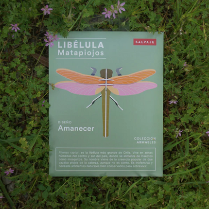 Armable Libélula papercraft de cartón de insectos nativos matapiojos fauna chilena animales