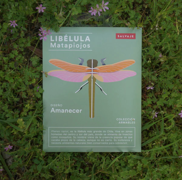 Armable Libélula papercraft de cartón de insectos nativos matapiojos fauna chilena animales