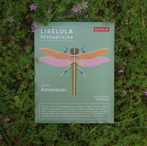 Armable Libélula papercraft de cartón de insectos nativos matapiojos fauna chilena animales