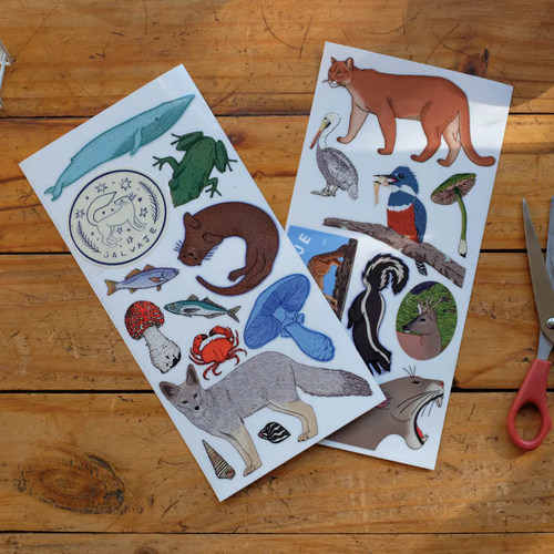 Set de stickers transferibles inspirados en la fauna chilena decal dtf uv personalizar decorar
