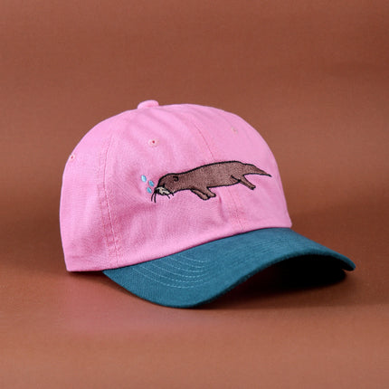 gorro jockey gorra de baseball fauna nativa chilena animales de chile