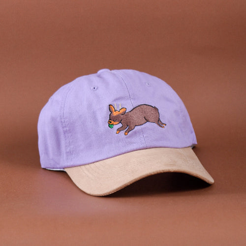 gorro jockey gorra de baseball fauna nativa chilena animales de chile