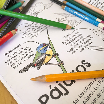 Libro Filogenia para Colorear, incluye juegos y actividades para el aprendizaje de la fauna nativa