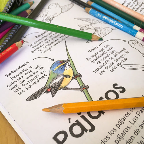 Libro Filogenia para Colorear, incluye juegos y actividades para el aprendizaje de la fauna nativa