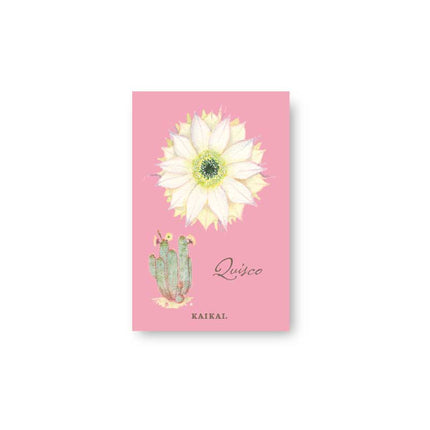 flores chilenas flora nativa chile quisco cactus flor de cactacea iman magneto refrigerador 