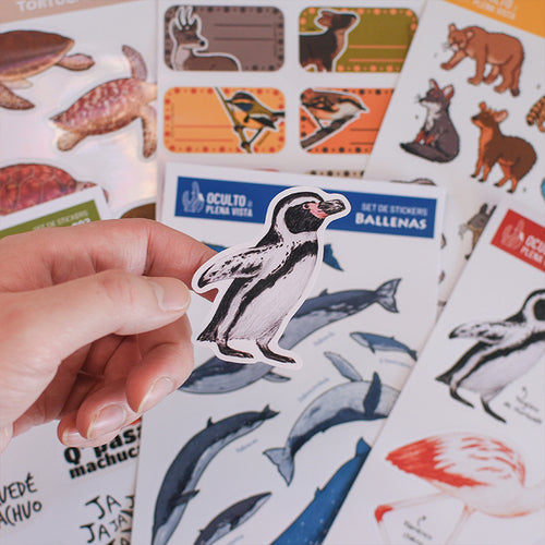 Lámina Stickers 14x20