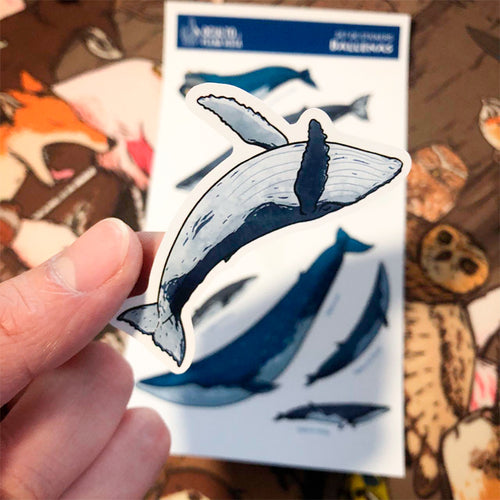 Lámina Stickers 14x20