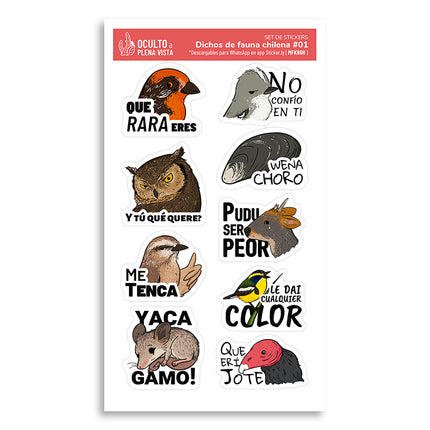 Lámina Stickers 14x20
