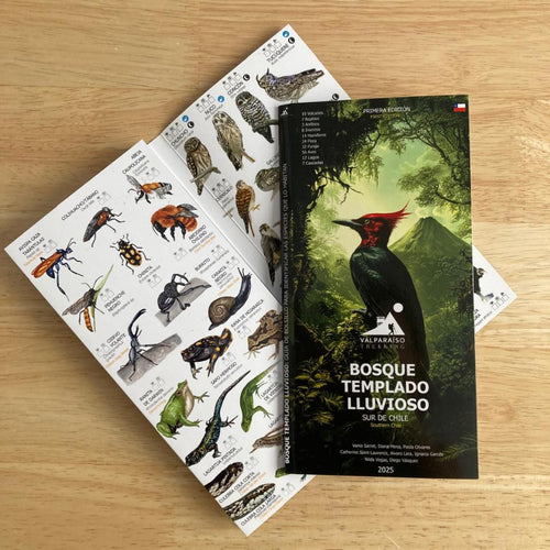 guia de bolsillo identificacion de especies flora y fauna bosque templado lluvioso