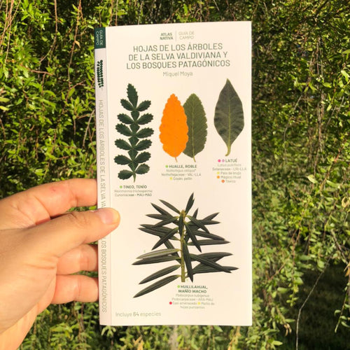 atlas nativa hojas de arboles selva valdiviana bosque patagónico guia de campo 