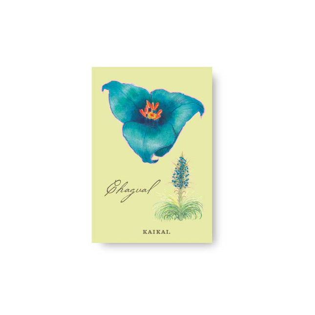 flores chilenas flora nativa chile chagual azul bromeliaceas iman magneto refrigerador 