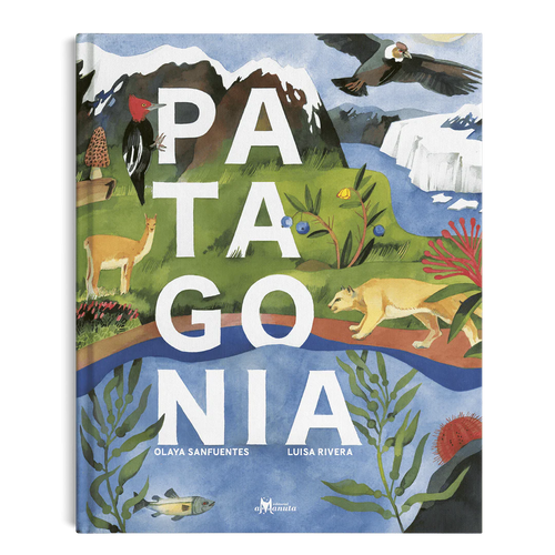 libro album ilustrado patagonia geografia flore fauna costumbres 