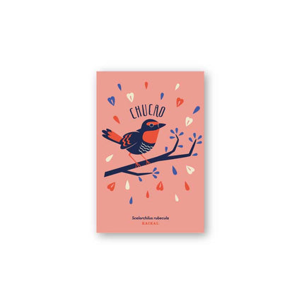 postal aves fauna pájaros naturaleza ludico ave print infantil