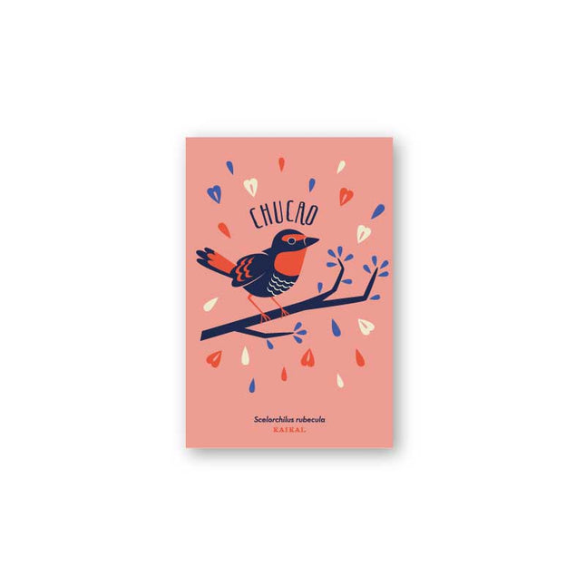 postal aves fauna pájaros naturaleza ludico ave print infantil