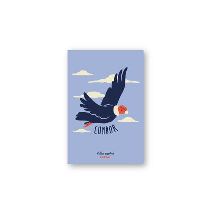 postal aves fauna pájaros naturaleza ludico ave print infantil