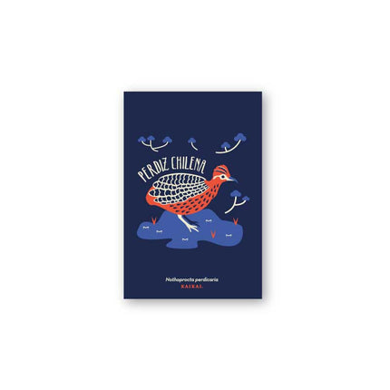 postal aves fauna pájaros naturaleza ludico ave print infantil