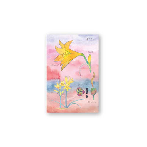 postal print flores chilenas flora nativa flor cactus naturaleza acuarela