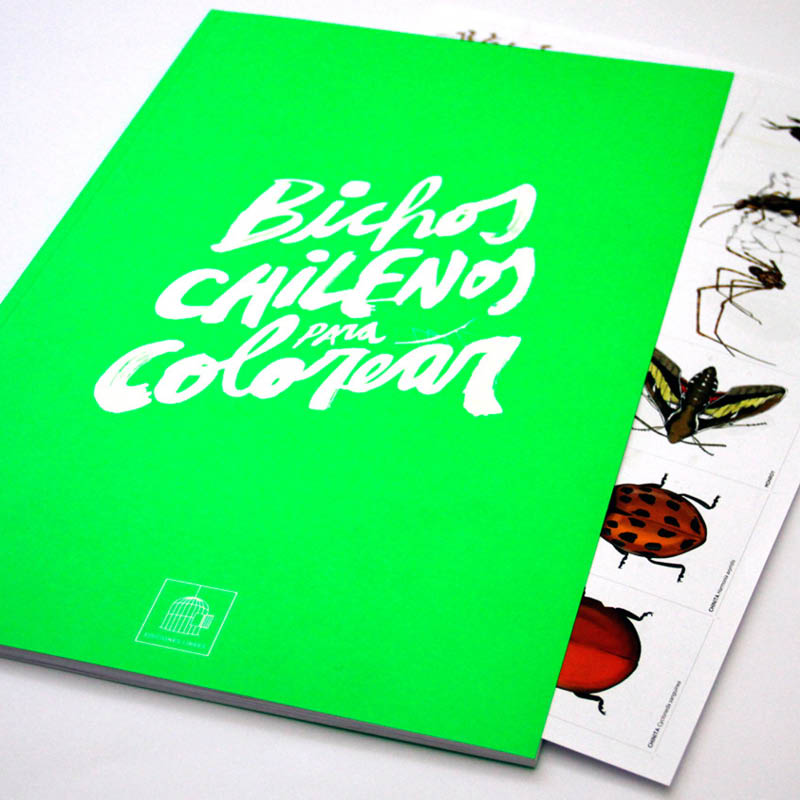 Libro Bichos Chilenos para Colorear. Ediciones libres