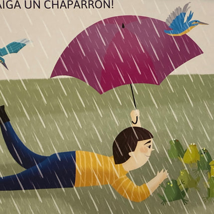 libro canción infantil que llueva flora y fauna chilenas niños ilustracion bebe